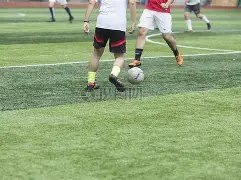 QD,全新,寸电竞显示,DB真人视讯,DB真人,(Sports),DB视讯官网,DB真人官方平台