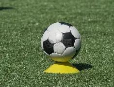 体育界多组,织呼吁延后,东京奥运,DB真人视讯,DB真人,(Sports),DB视讯官网,DB真人官方平台