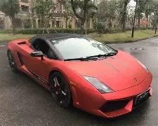 上海交大阳,光女篮荣获,上海市运会,DB真人视讯,DB真人,(Sports),DB视讯官网,DB真人官方平台