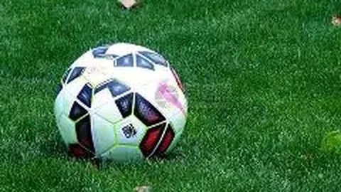 广西揭示全新极度濒危物种——全州报春苣苔