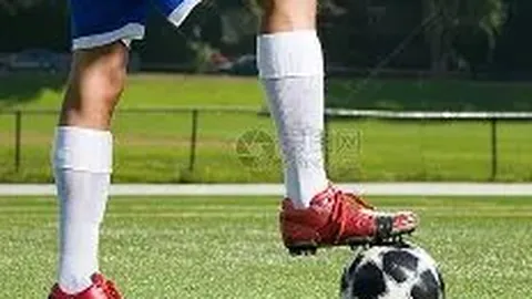 DB视讯官网 产品 114931 dcx