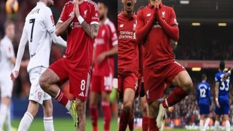 DB视讯官网 资讯 095305 mns